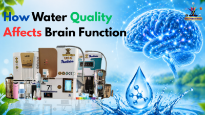 How Water Quality Affects Brain Function